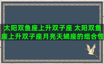 太阳双鱼座上升双子座 太阳双鱼座上升双子座月亮天蝎座的组合性格